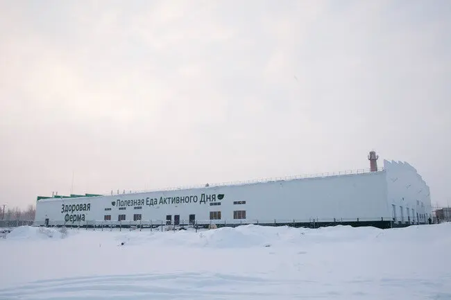 Здоровая ферма построила в Челябинской области завод глубокой переработки мяса и птицефабрику